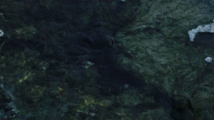 الموصل , عين كبريت , الواجهة النهرية