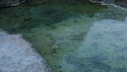 واحة عين كبريت , الموصل