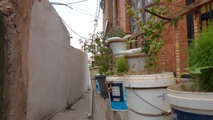 Mosque courtyard, Hit