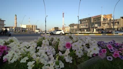 Streets, gardens, cars