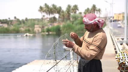 صياد سمك , تجهيز سنارة الصيد
