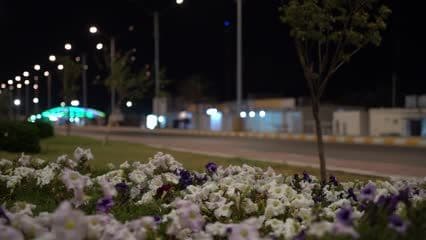 Northern entrance, Ramadi city