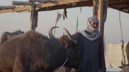 اهوار الجبايش , حياة الأهوار