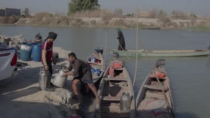 اهوار الجبايش , قوارب , حليب جاموس