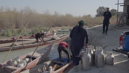 حليب جاموس , اهوار الجبايش , اصحاب المواشي