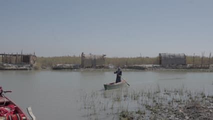 اهوار الجبايش , حياة يومية , بيوت القصب