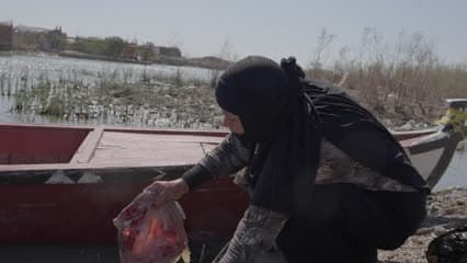 سمك عراقي , تنظيف السمك , امرأة 