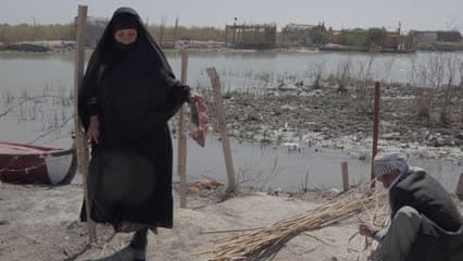 سمك مسكوف , اهوار الجبايش