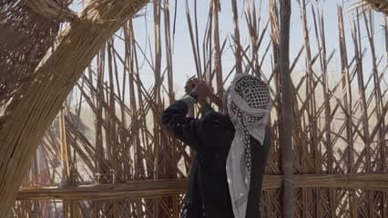 Al-Chibayish marshes, reeds, cutting reeds