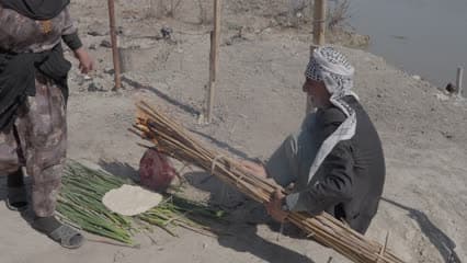 Daily life, Al-Chibayish marshes, masgouf fish
