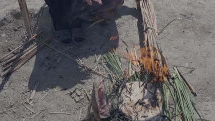 Grilling fish and bread on reeds