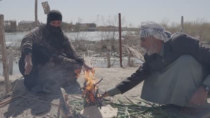Daily life, grilling masgouf fish, Iraqi marshes