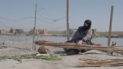 سيدة تقوم بشواء السمك والخبز على القصب