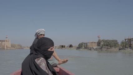 Boat tour, Iraqi marshes