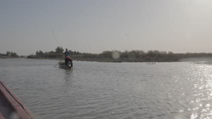 اهوار الجبايش , قوارب