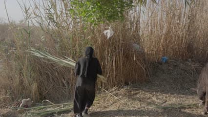 المرأة الريفية , اهوار العراق , اهوار الجبايش