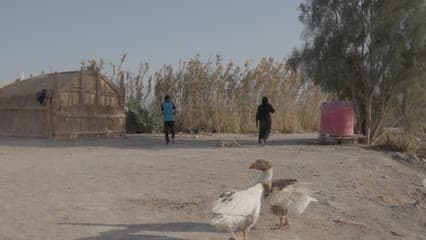 اهوار الجبايش , حياة يومية,الأهوار