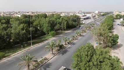 Green Belt Street, Trees