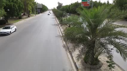 Green Belt Street, Cars, Side View of Street