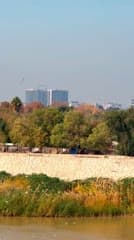 جسر الجادرية , طيور النورس , برج بغداد