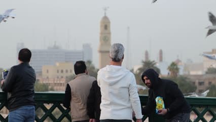 طيور النورس , القشلة , جسر الشهداء , زوار