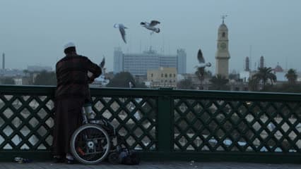 مشهد سينمائي , طيور النورس