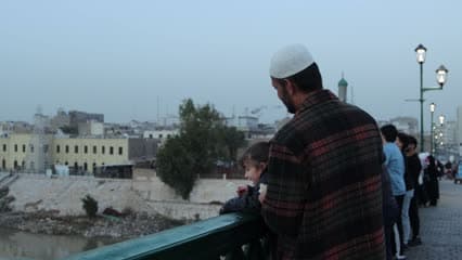 طائر النورس , زوار شارع الشهداء 