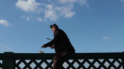 Martyrs’ Bridge, feeding seagulls