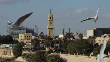 Al-Qushla Clock, Al-Qushla, seagulls