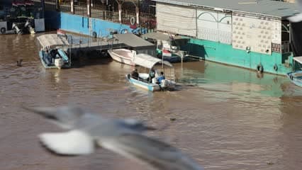 Tigris River, boats, river trips