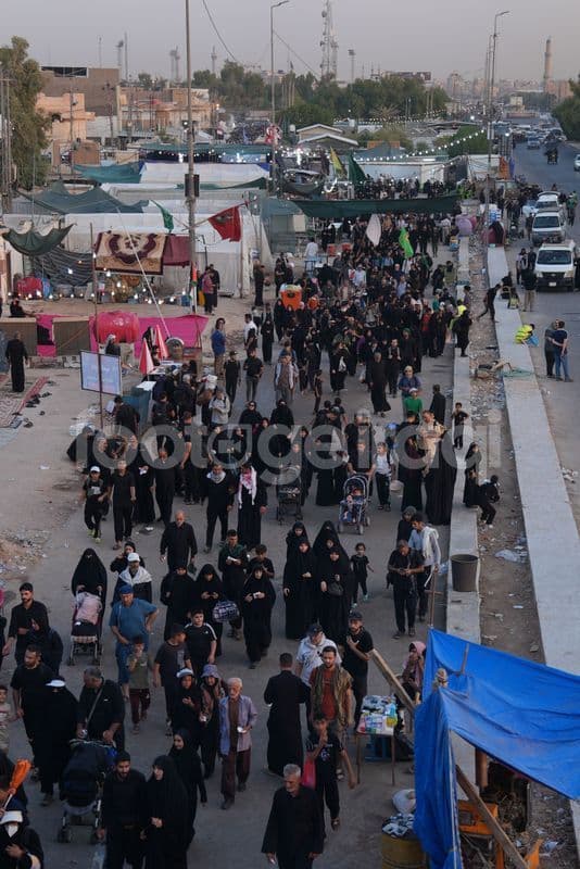 Arbaeen Pilgrimage, Walking, Najaf-Karbala Road