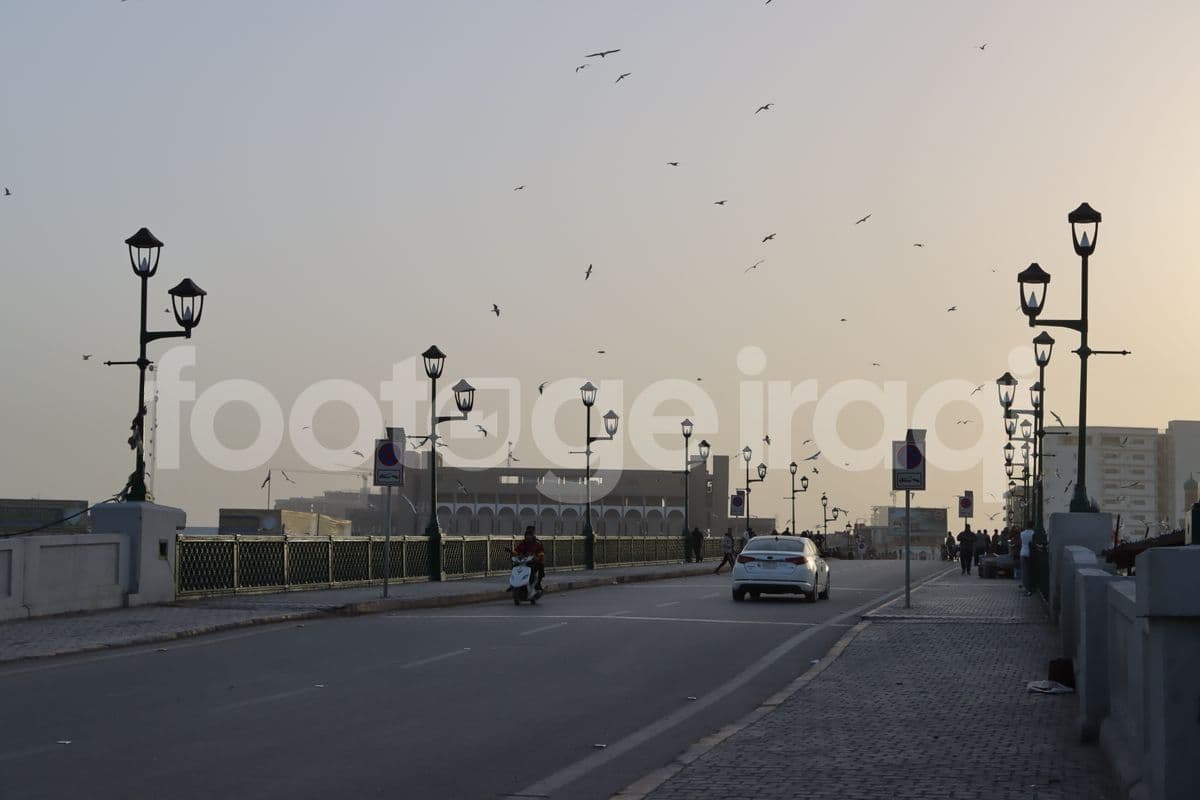 Martyrs' Bridge, Baghdad, birds
