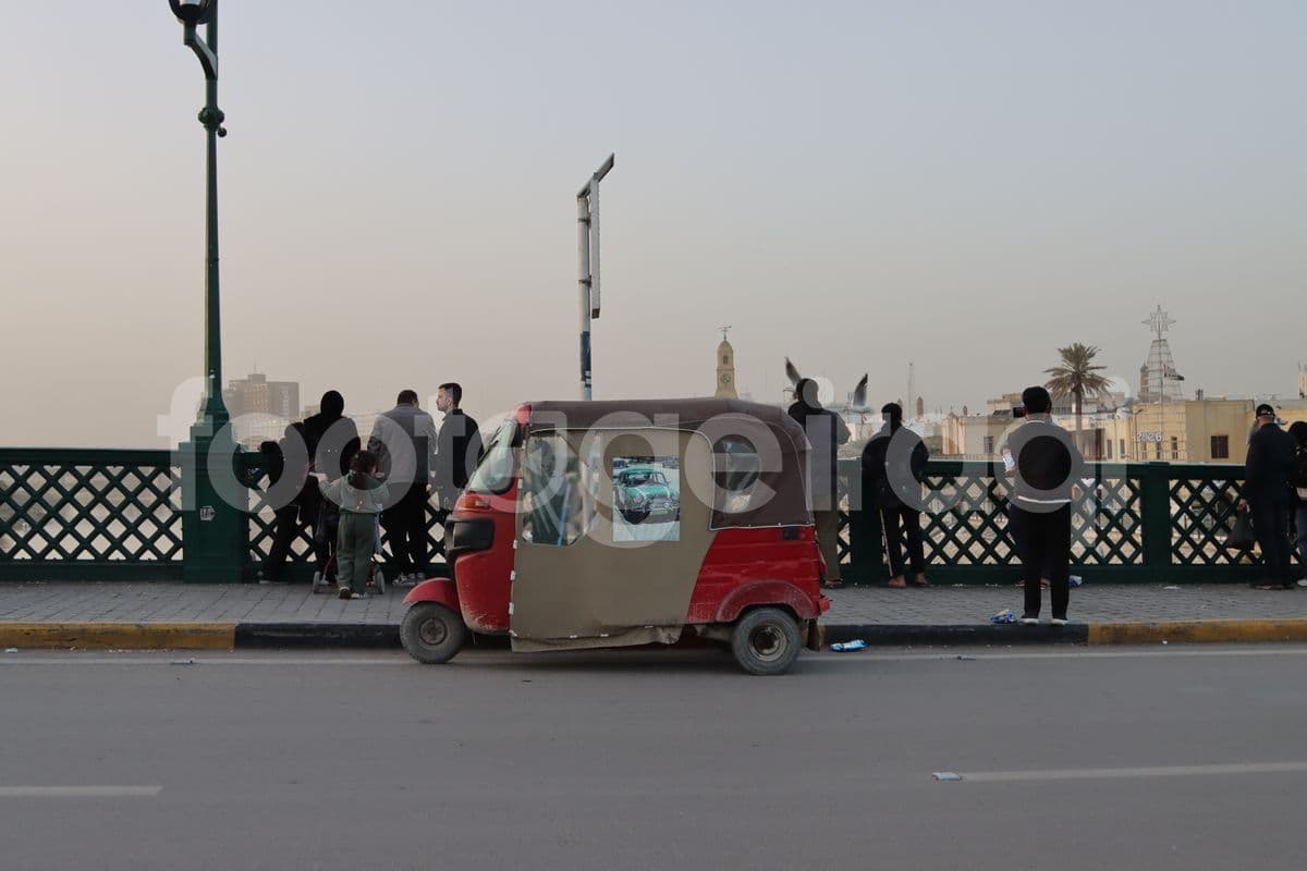 جسر الشهداء , طيور النورس , بغداد
