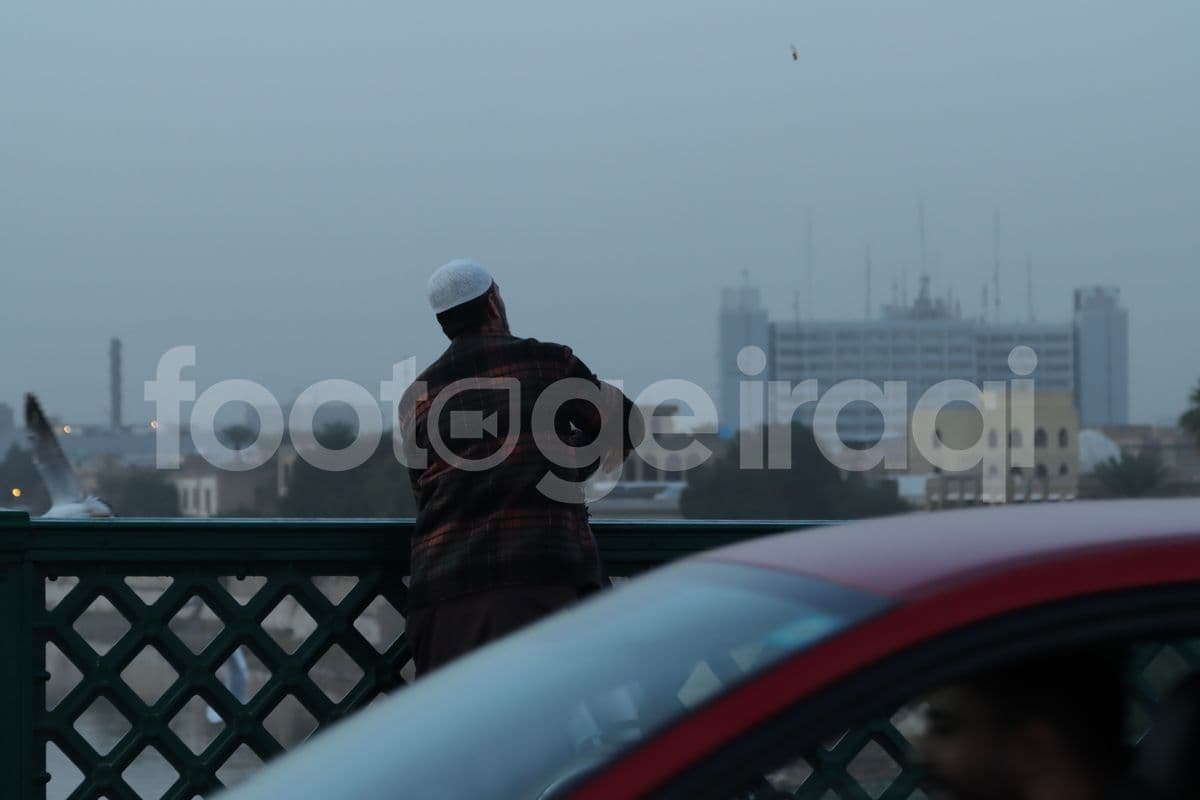 جسر الشهداء , اطعام النوارس