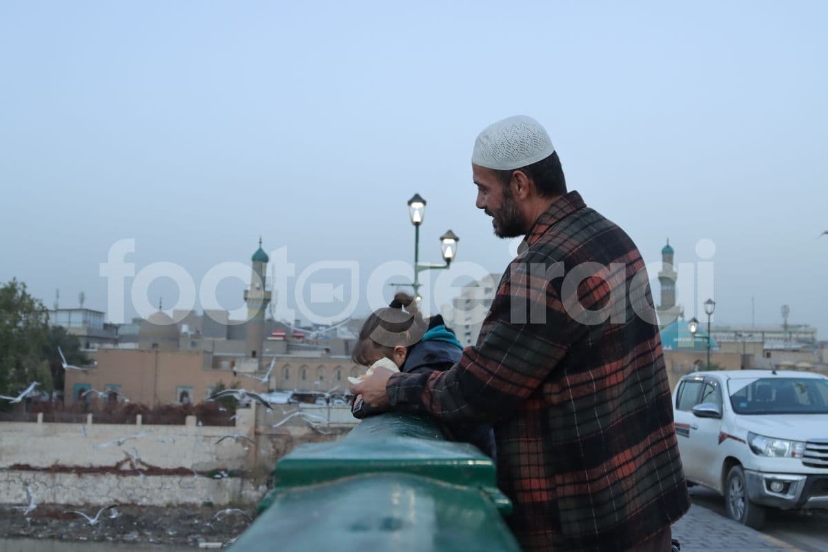 جسر الشهداء , حياة يومية , طيور النورس